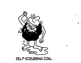 SELF-SCRUBBING COAL logo