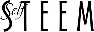 SELF STEEM logo