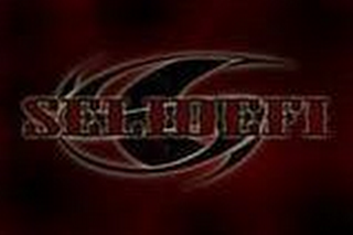 SELIDEFI logo