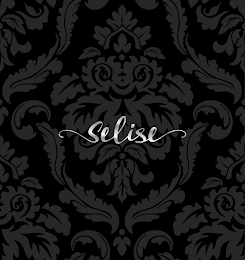 SELISE logo