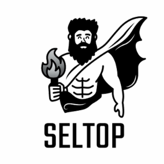 SELTOP logo