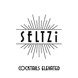 SELTZI COCKTAILS ELEVATED logo