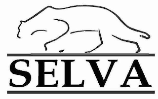 SELVA logo