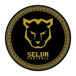 SELVA FOOTBALL logo