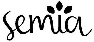 SEMIA logo