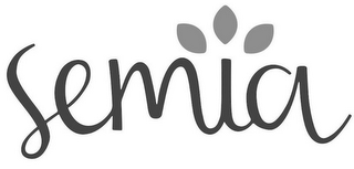 SEMIA logo