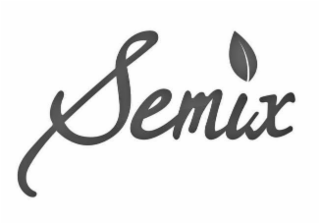 SEMIX logo