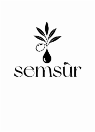 SEMSÛR logo