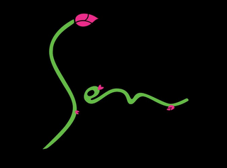 SEN logo