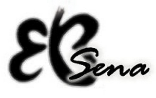 SENA logo