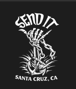 SENDIT SANTA CRUZ, CA logo