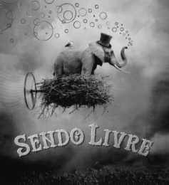SENDO LIVRE logo