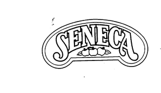 SENECA logo