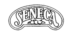SENECA logo
