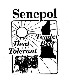 SENEPOL HEAT TOLERANT TENDER BEEF logo