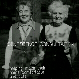 SENESCENCE CONSULTATION HELPING MAKE THEIR HOME COMFORTABLE AND SAFE logo