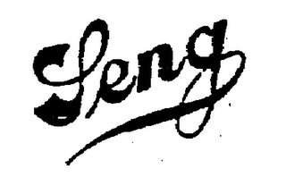 SENG logo