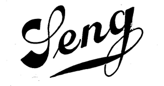 SENG logo