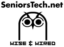 SENIORSTECH.NET WISE & WIRED logo