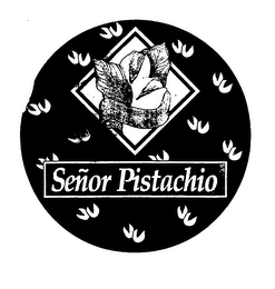 SENOR PISTACHIO
