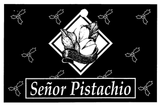 SENOR PISTACHIO