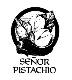 SENOR PISTACHIO