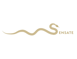 SENSATE logo