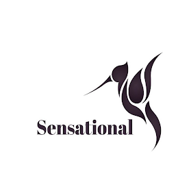 SENSATIONAL logo