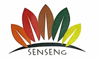 SENSENG logo