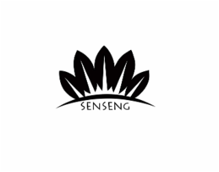 SENSENG logo