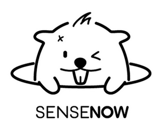 SENSENOW logo