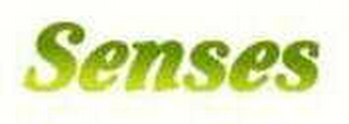 SENSES logo