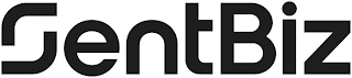 SENTBIZ logo