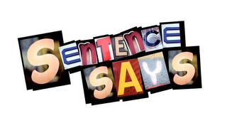 SENTENCE SAYS logo