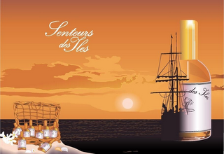SENTEURS DES ILES logo