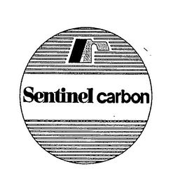 SENTINEL CARBON R logo