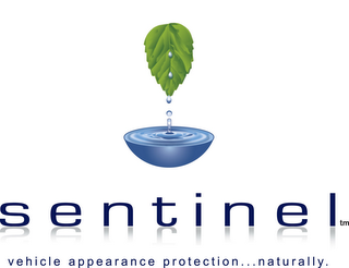 SENTINEL VEHICLE APPEARANCE PROTECTION...NATURALLY. logo