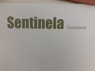 SENTINELA CONSULTANTS logo