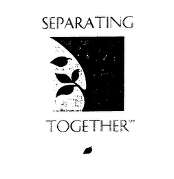 SEPARATING TOGETHER logo