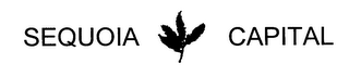 SEQUOIA CAPITAL logo