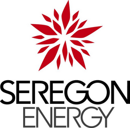 SEREGON ENERGY logo