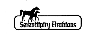 SERENDIPITY ARABIANS logo