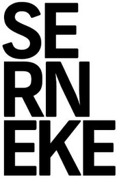 SERNEKE logo