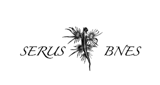 SERUS BNES logo