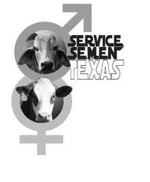 SERVICE SEMEN TEXAS logo