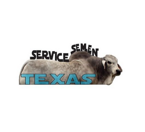 SERVICE SEMEN TEXAS logo