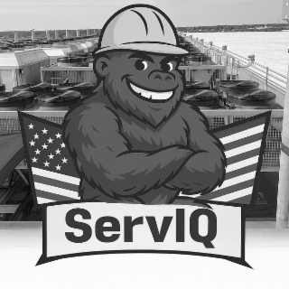 SERVIQ logo