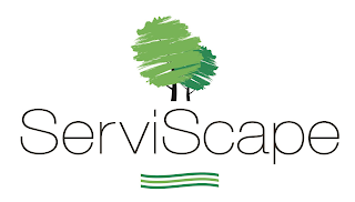 SERVISCAPE logo