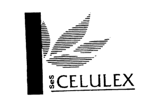 SES CELULEX logo
