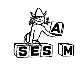 SESAM logo